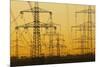 Pylons and power lines in morning light, Germany, Europe-Hans-Peter Merten-Mounted Photographic Print