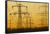 Pylons and power lines in morning light, Germany, Europe-Hans-Peter Merten-Framed Stretched Canvas