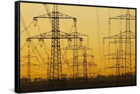 Pylons and power lines in morning light, Germany, Europe-Hans-Peter Merten-Framed Stretched Canvas