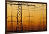 Pylons and power lines in morning light, Germany, Europe-Hans-Peter Merten-Framed Photographic Print