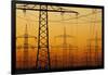 Pylons and power lines in morning light, Germany, Europe-Hans-Peter Merten-Framed Photographic Print