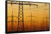 Pylons and power lines in morning light, Germany, Europe-Hans-Peter Merten-Framed Stretched Canvas