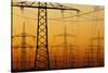 Pylons and power lines in morning light, Germany, Europe-Hans-Peter Merten-Stretched Canvas
