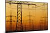 Pylons and power lines in morning light, Germany, Europe-Hans-Peter Merten-Mounted Photographic Print