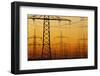 Pylons and power lines in morning light, Germany, Europe-Hans-Peter Merten-Framed Photographic Print