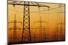 Pylons and power lines in morning light, Germany, Europe-Hans-Peter Merten-Mounted Photographic Print