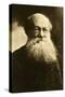 Pyotr Alexeyevich Kropotkin, Russian Anarchist, C1900-Felix Nadar-Stretched Canvas