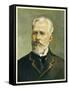 Pyotr Ilich Tchaikovsky, Russian Composer-null-Framed Stretched Canvas