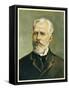 Pyotr Ilich Tchaikovsky, Russian Composer-null-Framed Stretched Canvas