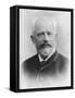 Pyotr Ilyich Tchaikovsky (1840 - 189), Russian Composer-Charles Reutlinger-Framed Stretched Canvas