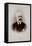 Pyotr Ilyich Tchaikovsky (1840-1893), 1892-null-Framed Stretched Canvas