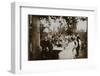 Pyotr Ilyich Tchaikovsky (1840-1893) in Tiflis, 1889-null-Framed Photographic Print