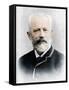 Pyotr Ilyich Tchaikovsky (1840 - 1893), Russian composer-Charles Reutlinger-Framed Stretched Canvas