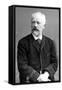 Pyotr Ilyich Tchaikovsky, C.1890-null-Framed Stretched Canvas