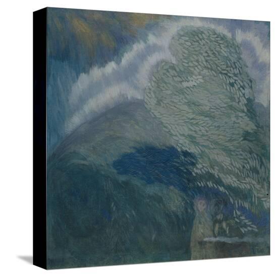 Stretched Canvas Print, , large