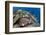 Pyramid Butterflyfish (Hemitaurichthys polylepis) shoal, Christmas Island-Colin Marshall-Framed Photographic Print