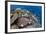 Pyramid Butterflyfish (Hemitaurichthys polylepis) shoal, Christmas Island-Colin Marshall-Framed Photographic Print