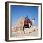 Pyramid Giza Egypt Man on Camel-null-Framed Photographic Print