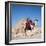 Pyramid Giza Egypt Man on Camel-null-Framed Photographic Print