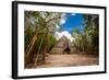 Pyramid in the Ancient Mayan Ruins of Coba, Outside of Tulum, Mexico, North America-Laura Grier-Framed Photographic Print