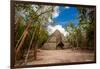 Pyramid in the Ancient Mayan Ruins of Coba, Outside of Tulum, Mexico, North America-Laura Grier-Framed Photographic Print