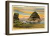 Pyramid Lake, Nevada-null-Framed Art Print