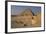 Pyramid of Djoser-null-Framed Giclee Print