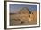 Pyramid of Djoser-null-Framed Giclee Print