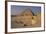 Pyramid of Djoser-null-Framed Giclee Print