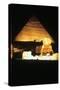 Pyramid of Khafre and the Great Sphinx at Night, Gizeh, Egypt-null-Stretched Canvas