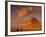 Pyramid of King Sneferu, Meidum, Old Kingdom, Egypt-Kenneth Garrett-Framed Photographic Print