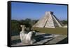 Pyramid of Kukulkan, or El Castillo-null-Framed Stretched Canvas