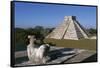 Pyramid of Kukulkan, or El Castillo-null-Framed Stretched Canvas