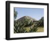 Pyramid of the Moon, Teotihuacan, 150Ad to 600Ad and Later Used by the Aztecs, North of Mexico City-R H Productions-Framed Photographic Print