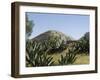 Pyramid of the Moon, Teotihuacan, 150Ad to 600Ad and Later Used by the Aztecs, North of Mexico City-R H Productions-Framed Photographic Print