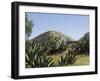 Pyramid of the Moon, Teotihuacan, 150Ad to 600Ad and Later Used by the Aztecs, North of Mexico City-R H Productions-Framed Photographic Print