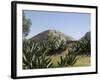 Pyramid of the Moon, Teotihuacan, 150Ad to 600Ad and Later Used by the Aztecs, North of Mexico City-R H Productions-Framed Photographic Print