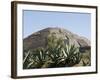 Pyramid of the Moon, Teotihuacan, 150Ad to 600Ad and Later Used by the Aztecs, North of Mexico City-R H Productions-Framed Photographic Print