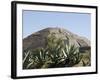 Pyramid of the Moon, Teotihuacan, 150Ad to 600Ad and Later Used by the Aztecs, North of Mexico City-R H Productions-Framed Photographic Print