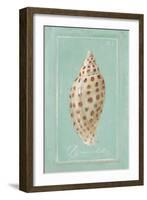 Pyramid Shell-Hardenbrook Studio-Framed Art Print