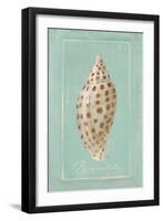 Pyramid Shell-Hardenbrook Studio-Framed Art Print