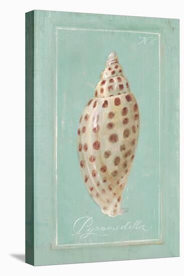 Pyramid Shell-Hardenbrook Studio-Stretched Canvas