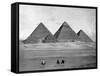 Pyramids and Three Riders on Camels Photograph - Egypt-Lantern Press-Framed Stretched Canvas