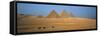 Pyramids at Giza, Cairo, Egypt-Jon Arnold-Framed Stretched Canvas