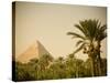 Pyramids at Giza, Cairo, Egypt-Doug Pearson-Stretched Canvas