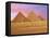 Pyramids at Sunset, Giza, Cairo, Egypt-Miva Stock-Framed Stretched Canvas