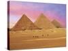 Pyramids at Sunset, Giza, Cairo, Egypt-Miva Stock-Stretched Canvas