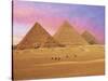 Pyramids at Sunset, Giza, Cairo, Egypt-Miva Stock-Stretched Canvas