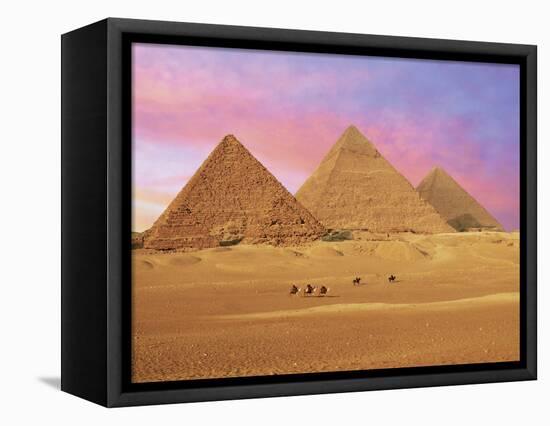 Pyramids at Sunset, Giza, Cairo, Egypt-Miva Stock-Framed Stretched Canvas