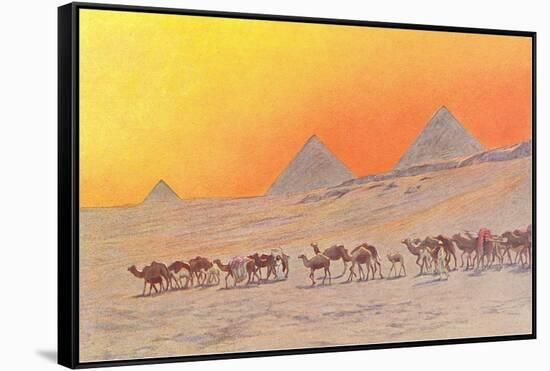 Pyramids, Camels, Egypt-null-Framed Stretched Canvas